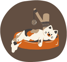 Cat Home Essentials
