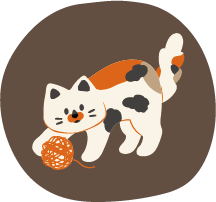 Cat Toys