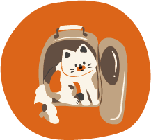 Cat Carriers & Harness