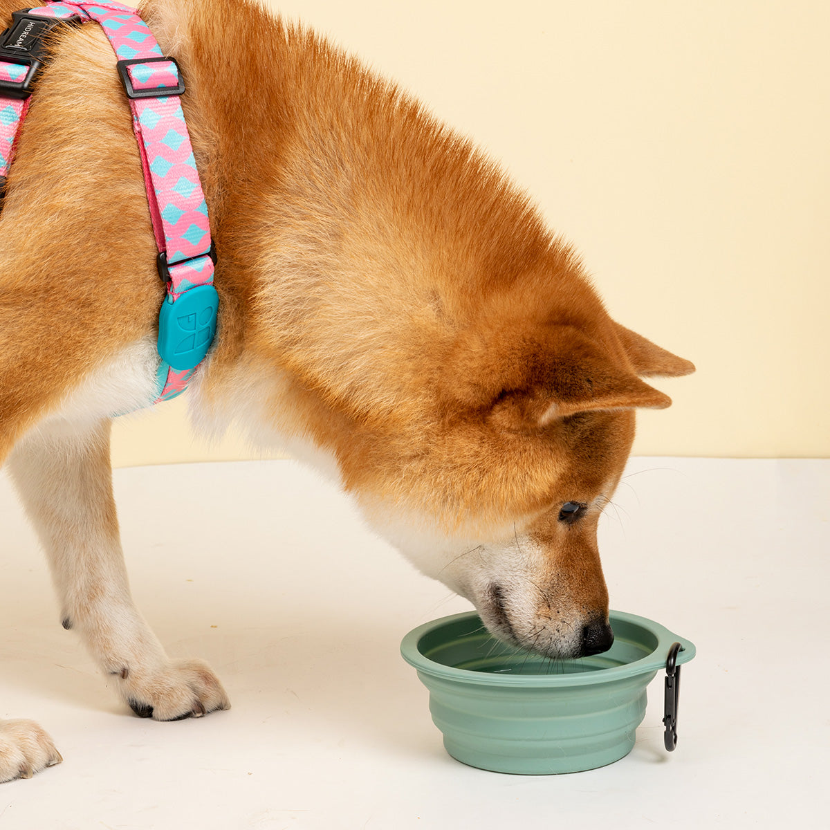 HiDream Dog Portable Collapsible Silicone Bowl