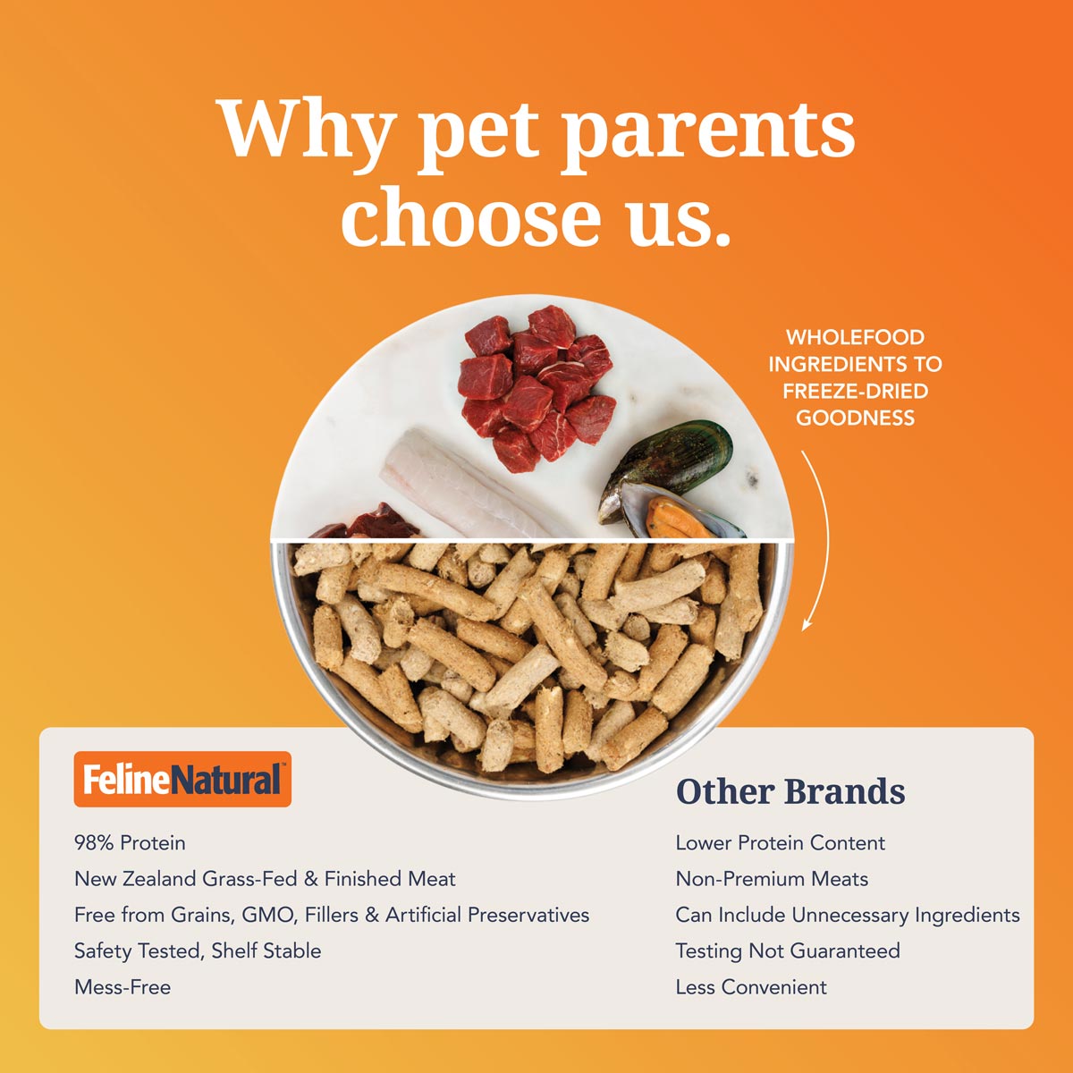 Feline Natural Beef & Hoki Feast Freeze Dried Cat Food