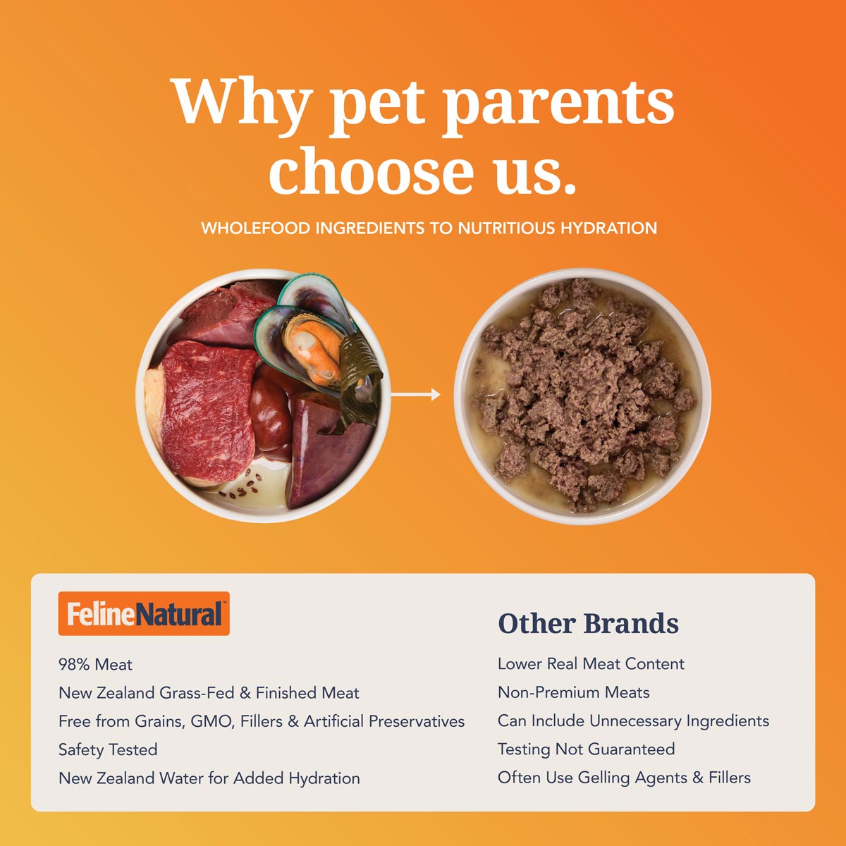 Feline Natural Beef & Hoki Feast Wet Cat Food