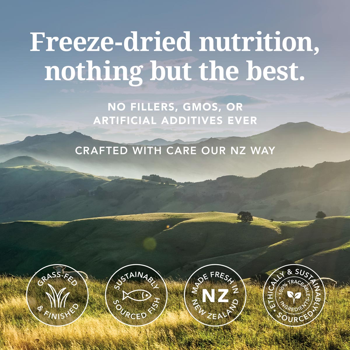 Feline Natural Beef & Hoki Feast Freeze Dried Cat Food