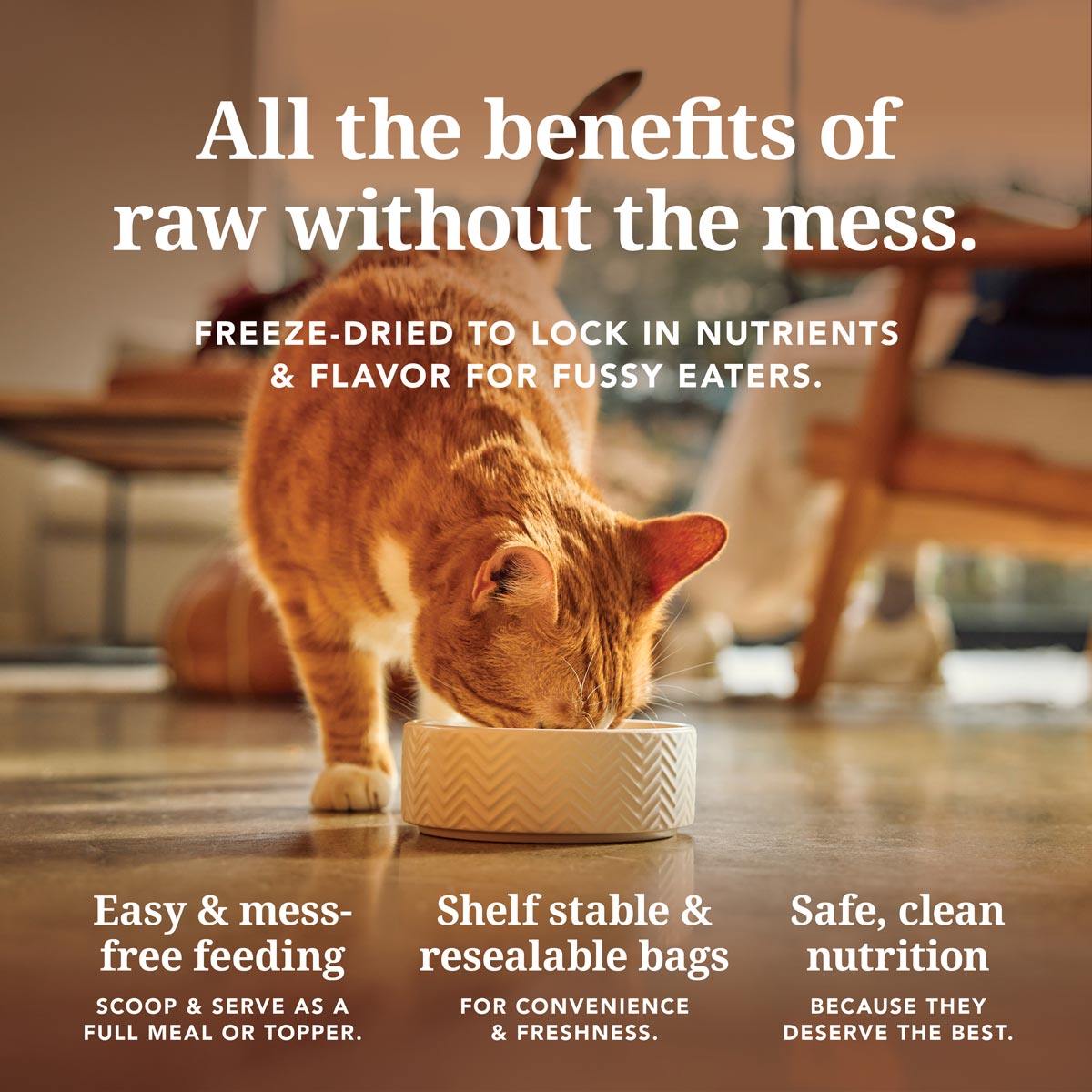 Feline Natural Beef & Hoki Feast Freeze Dried Cat Food