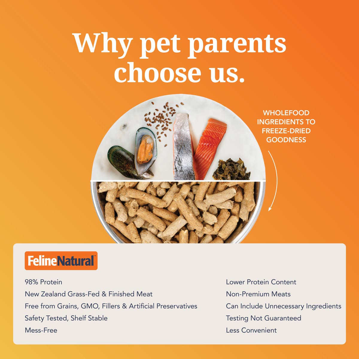 Feline Natural Chicken & King Salmon Feast Freeze Dried Cat Food