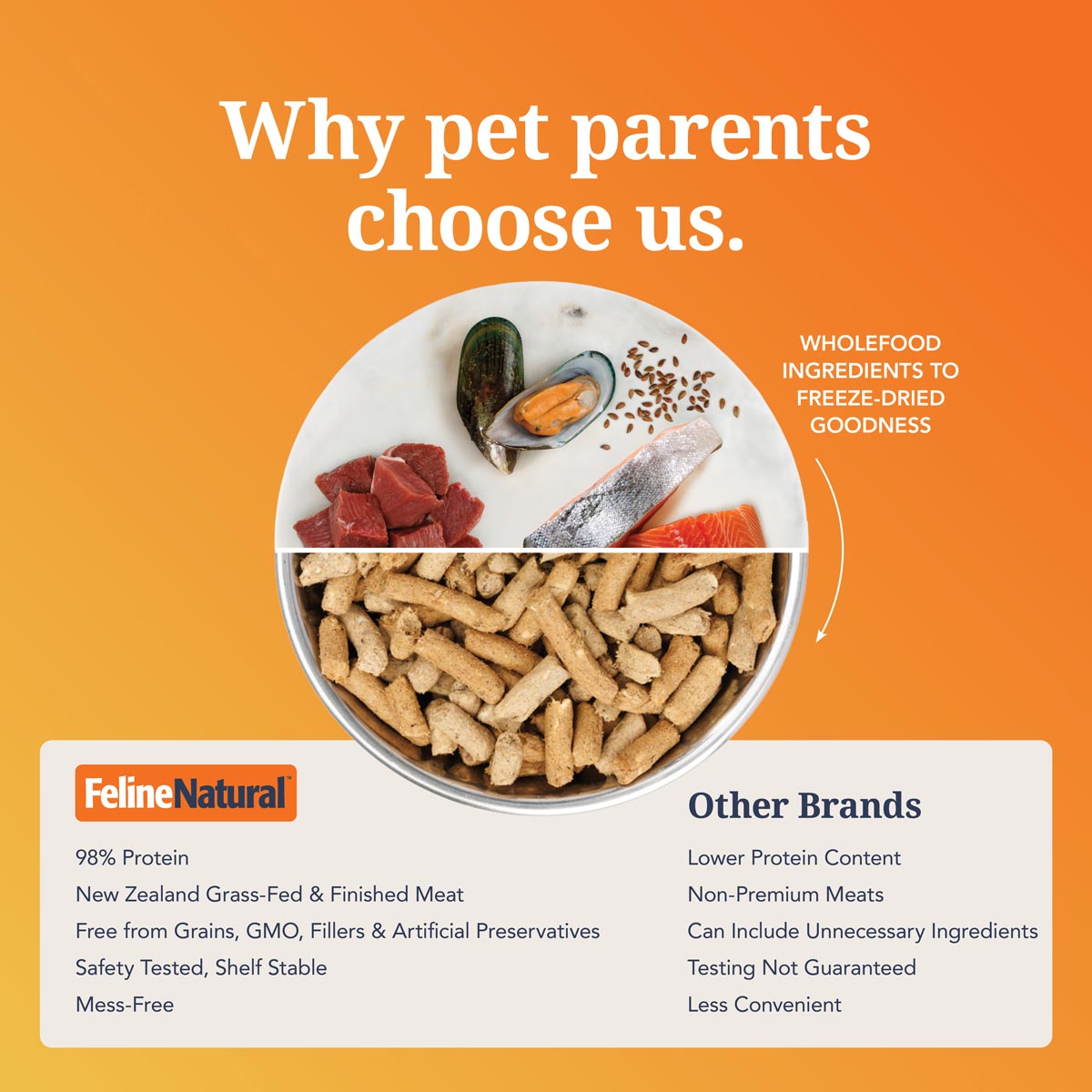 Feline Natural Lamb & King Salmon Feast Freeze Dried Cat Food