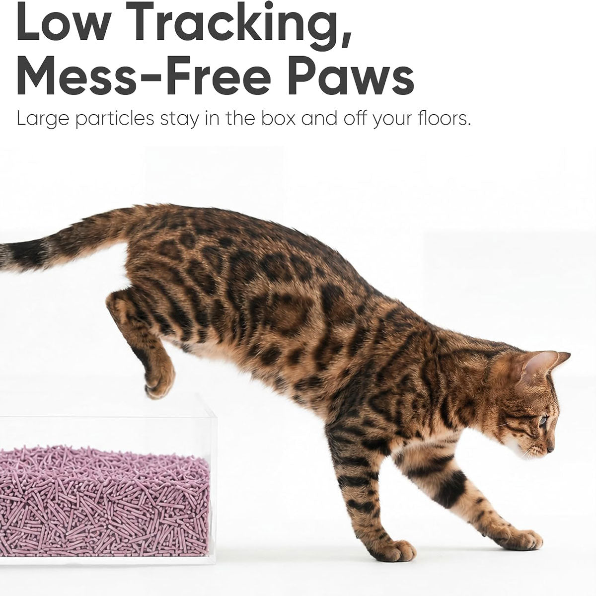 Fukumaru Tofu Cat Litter Lavender