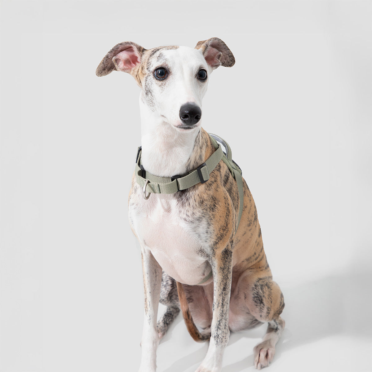 HiDream Anti-Pull Vest-Style Dog Harness