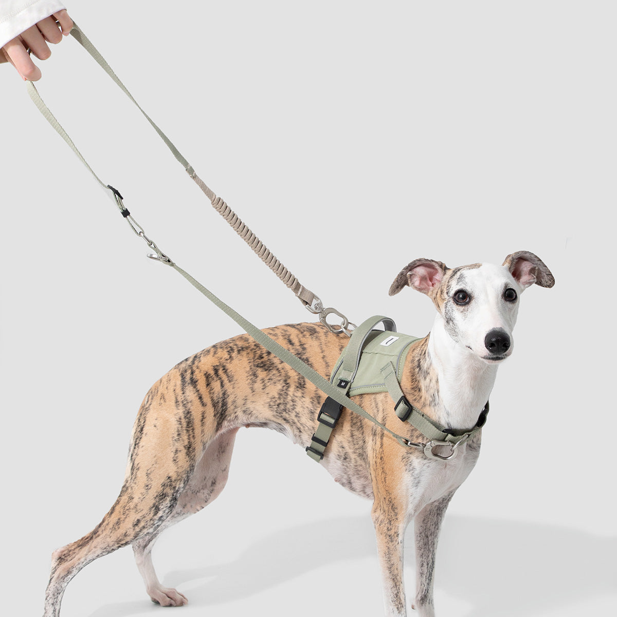 HiDream Anti-Pull Vest-Style Dog Harness