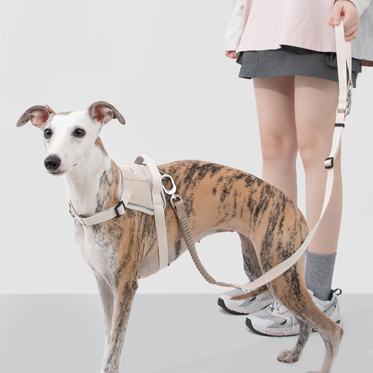HiDream Anti-Pull Vest-Style Dog Harness