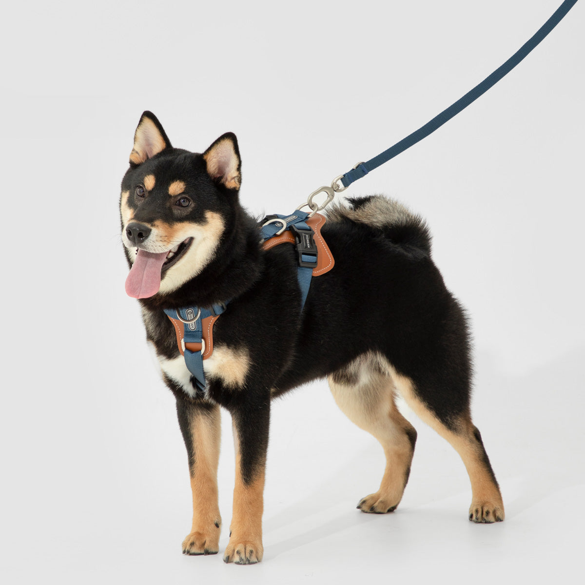 HiDream ComfortFit H-Style Dog Harness