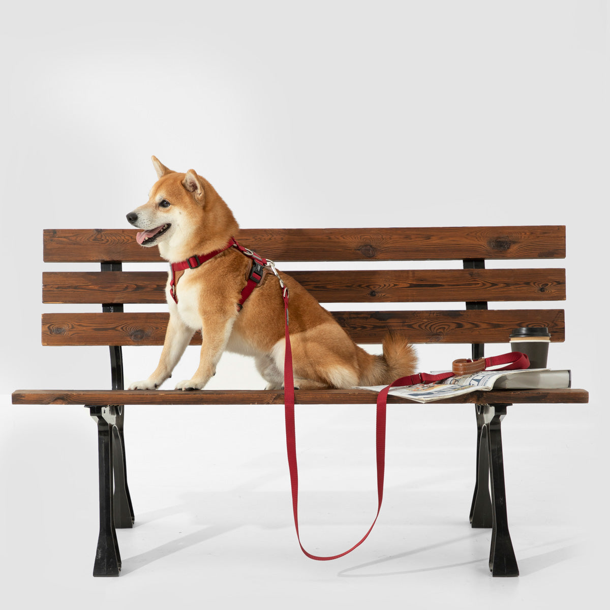 HiDream ComfortFit H-Style Dog Harness