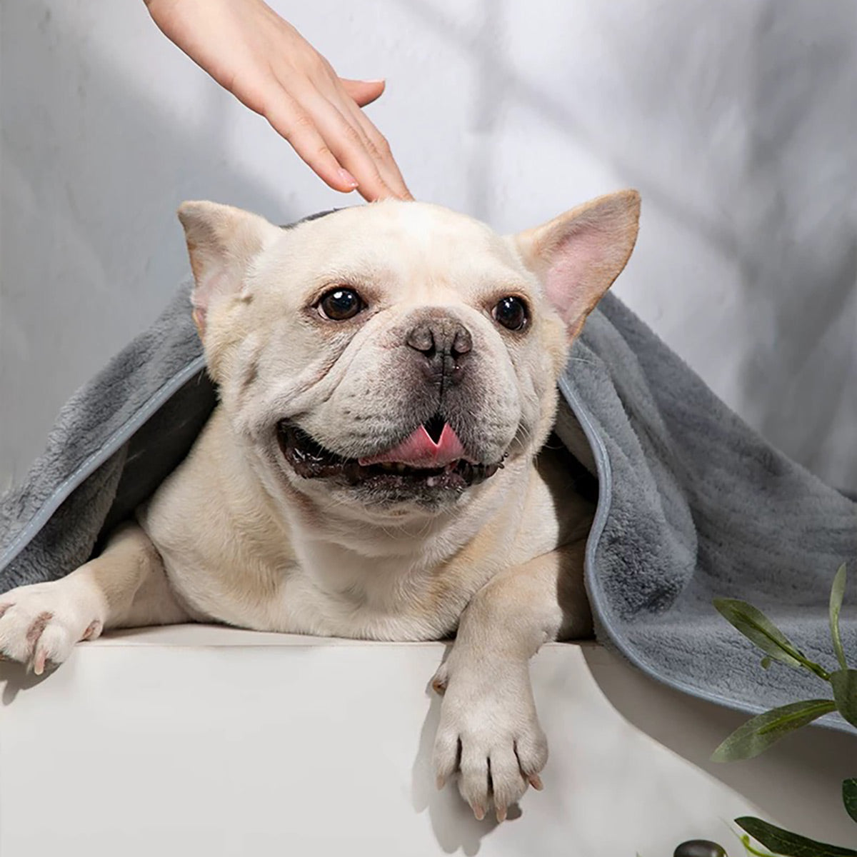HiDream Dog Absorbent Bath Towel
