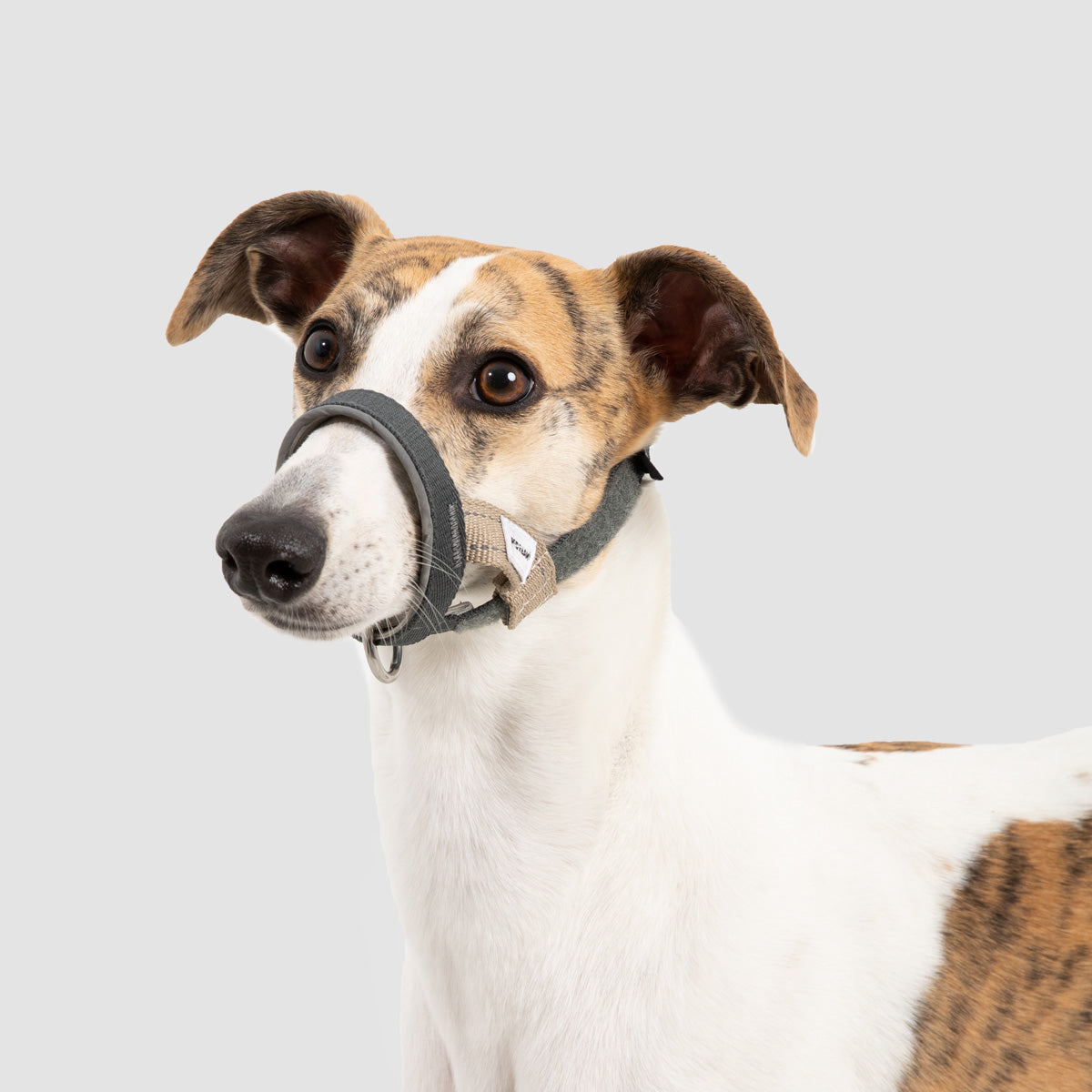 HiDream Dog Head Collar