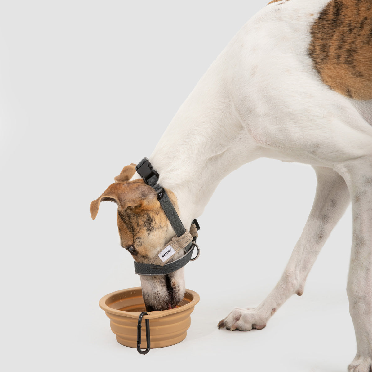 HiDream Dog Head Collar