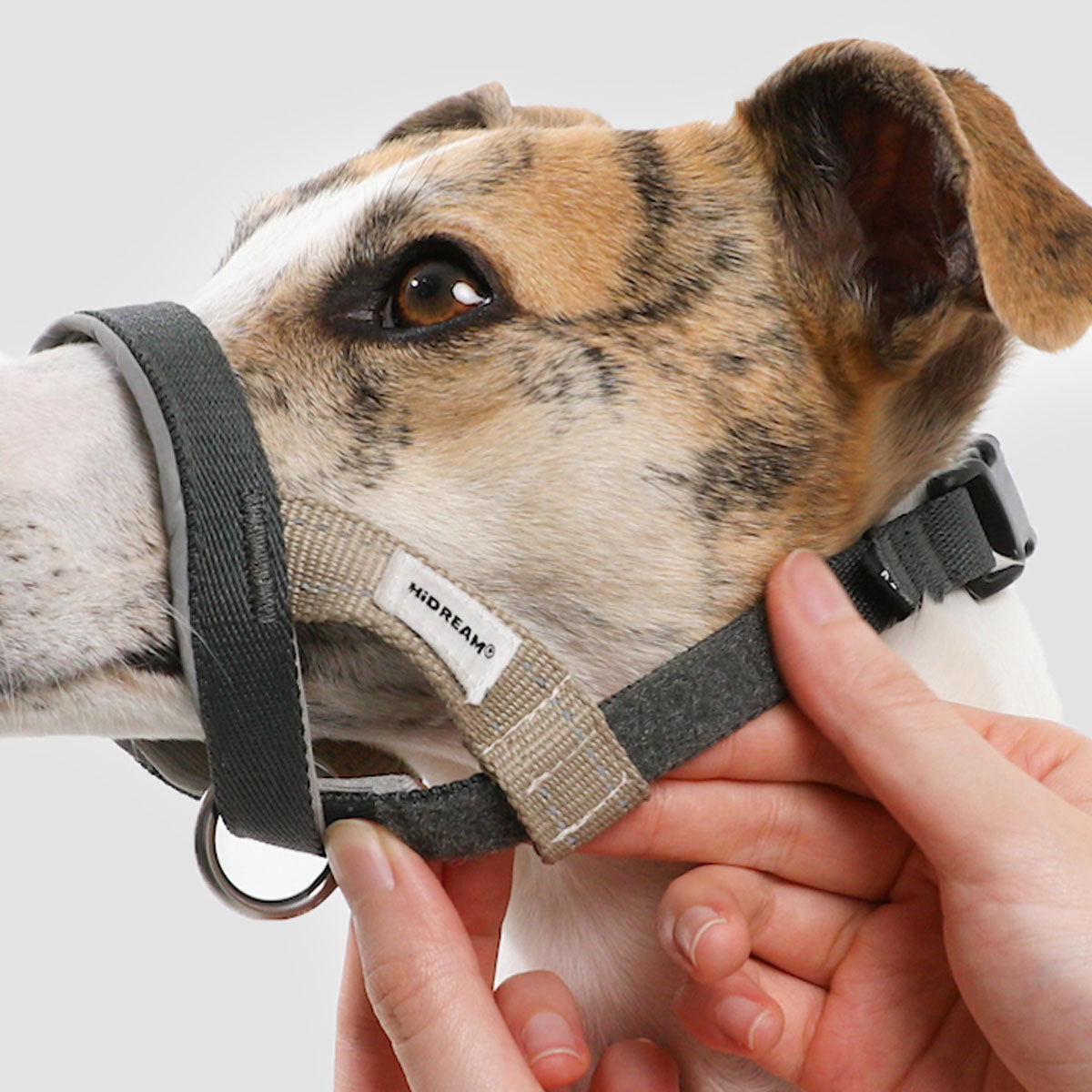 HiDream Dog Head Collar