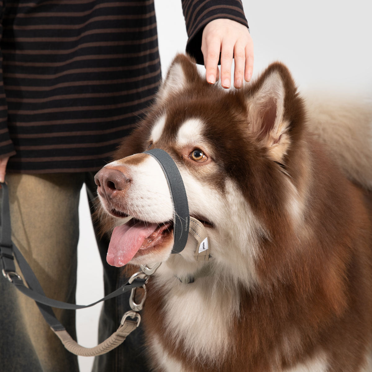 HiDream Dog Head Collar