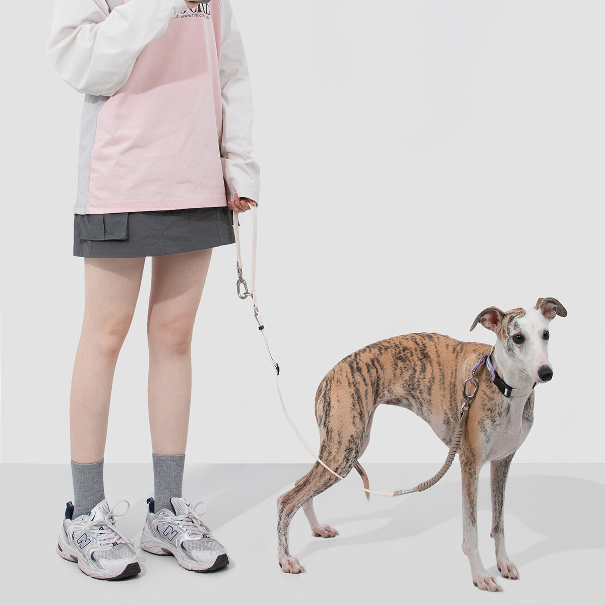 HiDream Half-Check Dog Collar