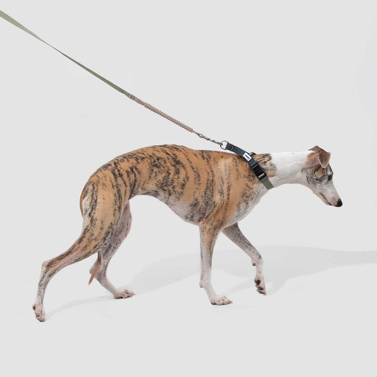 HiDream Half-Check Dog Collar