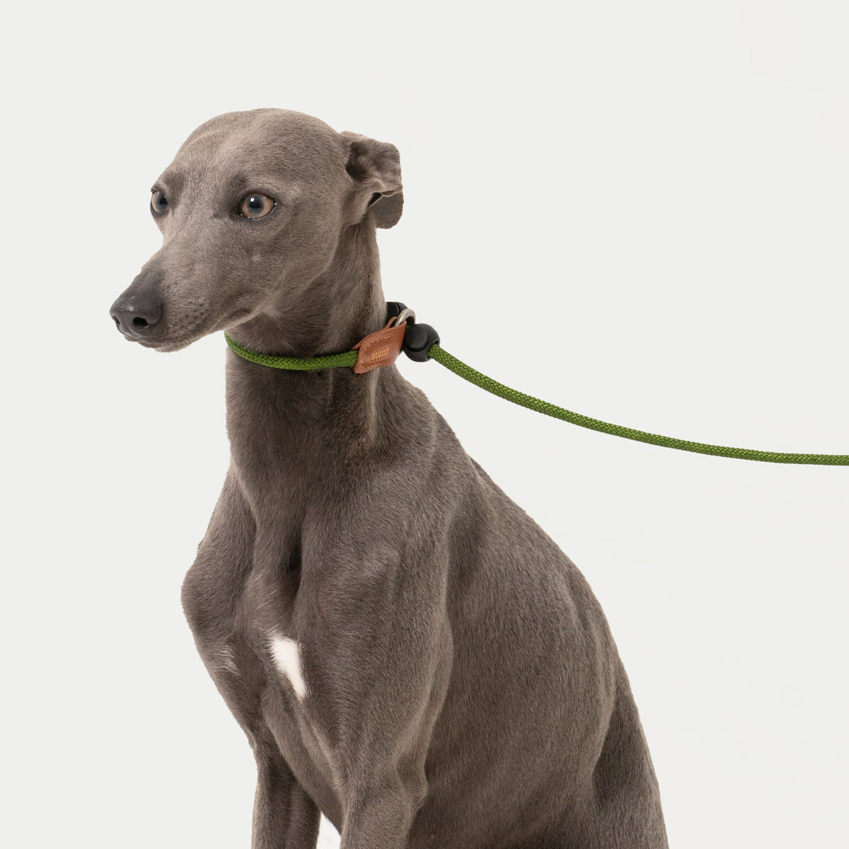 HiDream Leather Handle Slip Lead