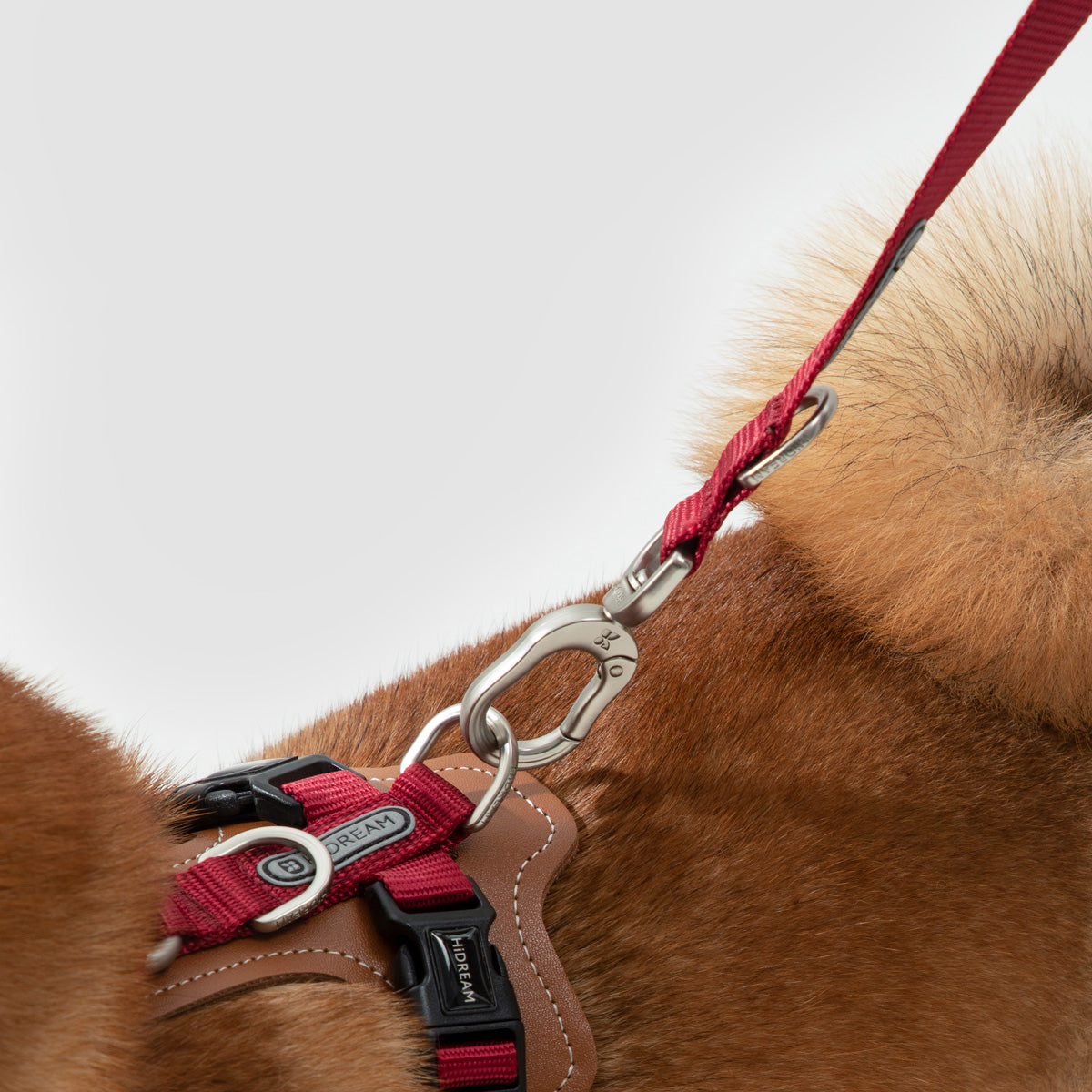 HiDream Multi-Function Crossbody Dog Leash