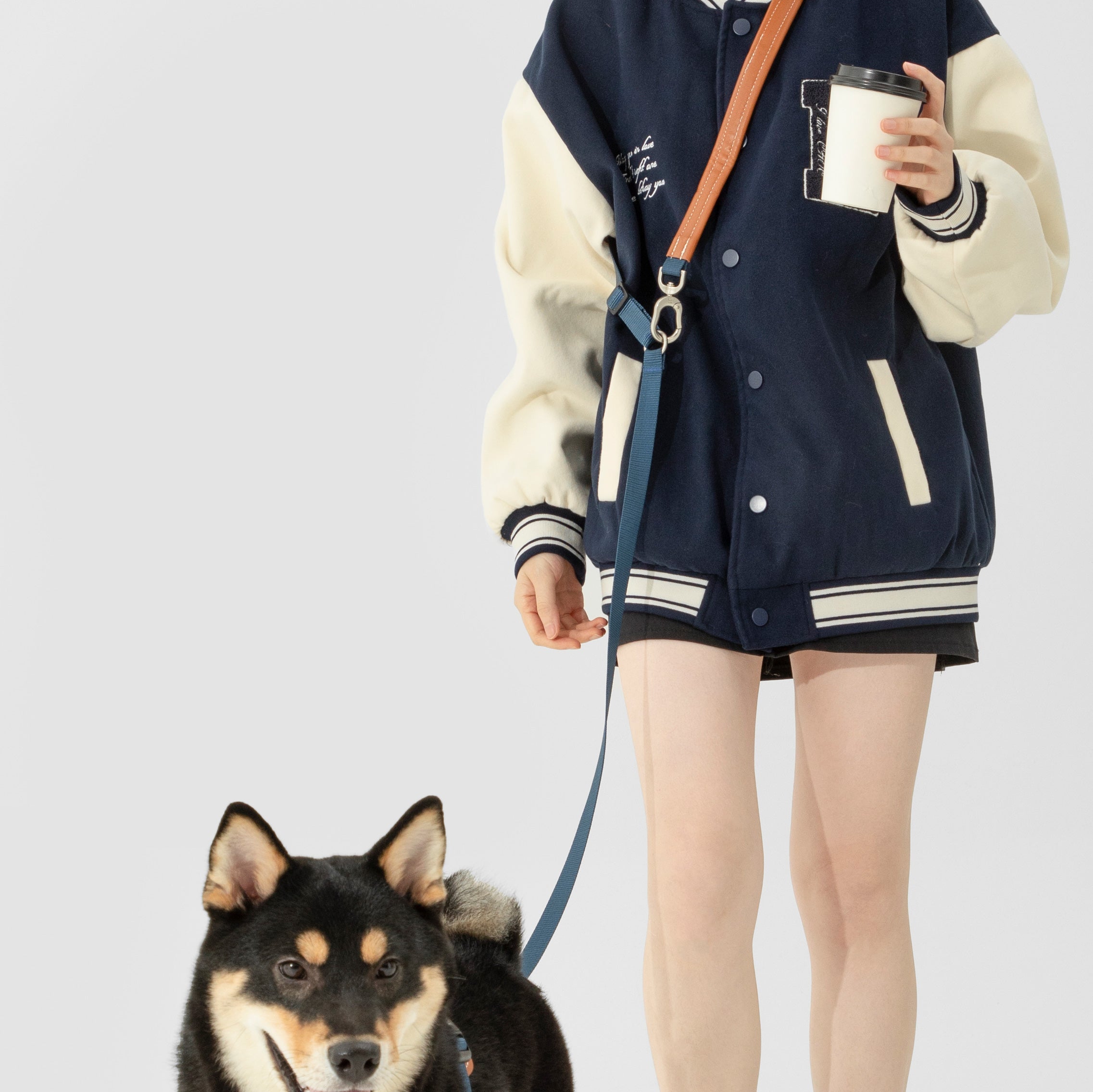 HiDream Multi-Function Crossbody Dog Leash