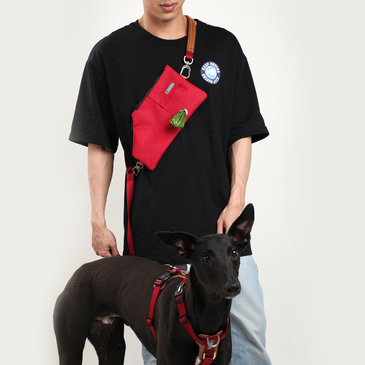 HiDream ComfortFit H-Style Dog Harness