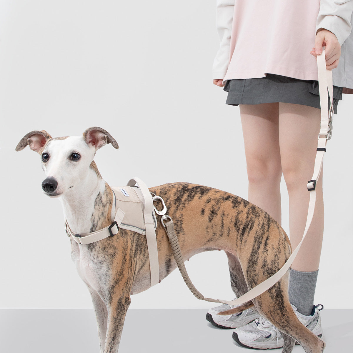 HiDream Multi-Function Bungee Dog Leash