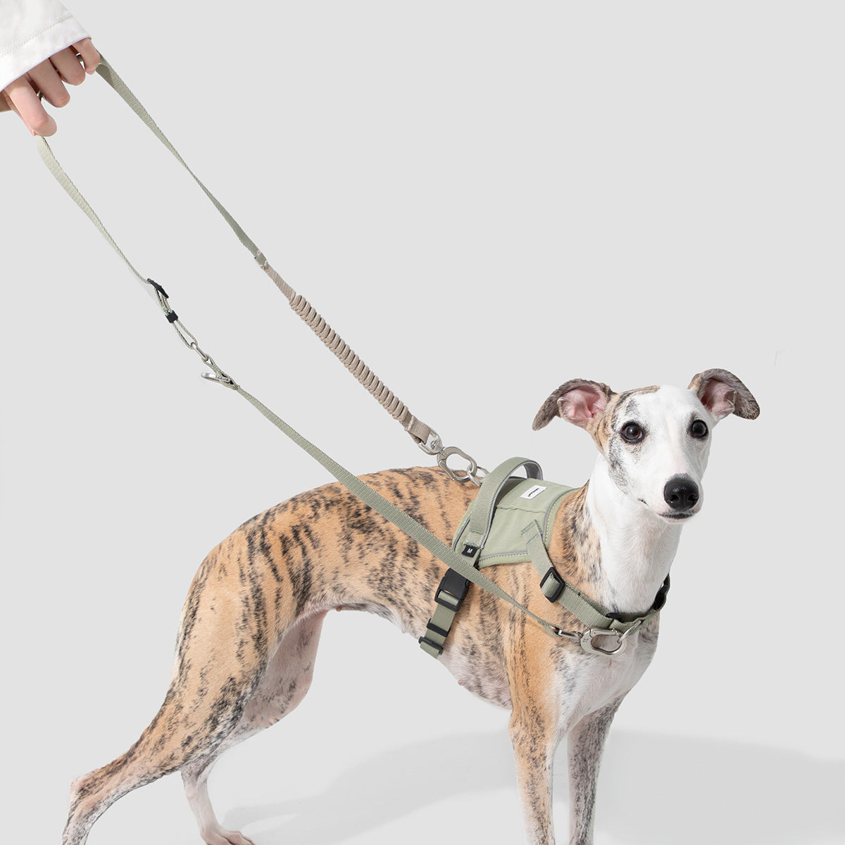 HiDream Multi-Function Bungee Dog Leash