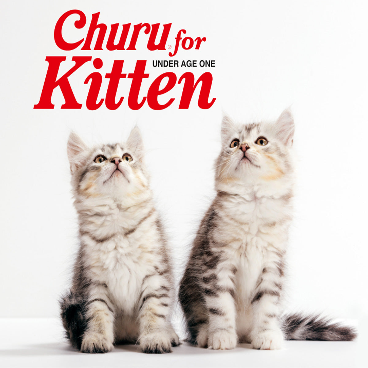INABA Churu Kitten Tuna & Chicken Variety Box Cat Treats