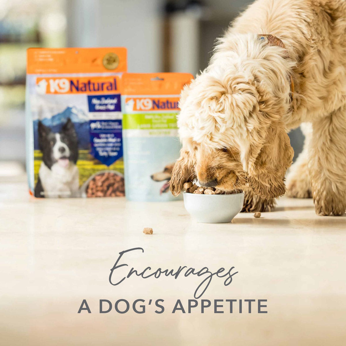 K9 Natural Beef Green Tripe Freeze Dried Dog Food Booster