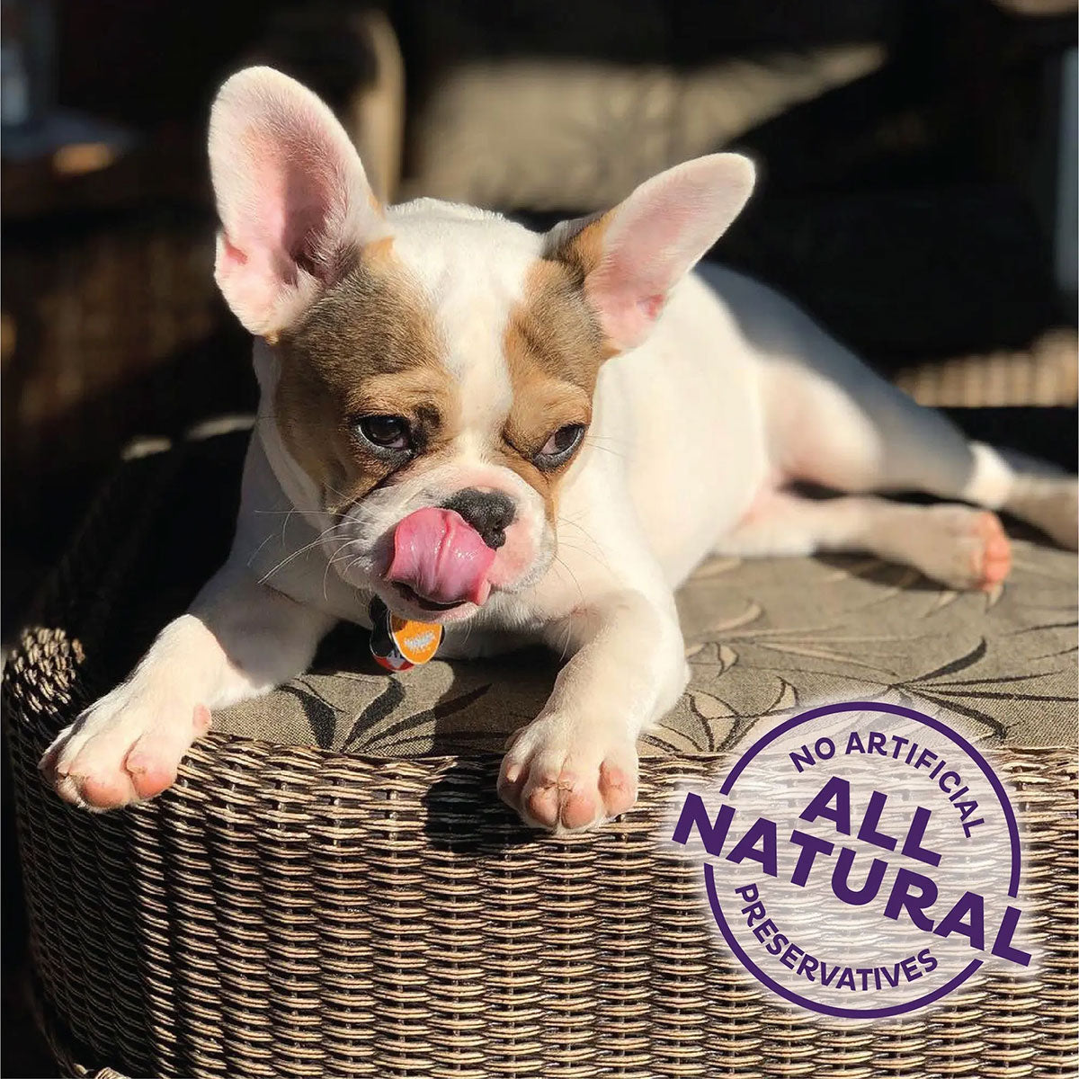 Old Mother Hubbard Bitz Assorted Dog Treats