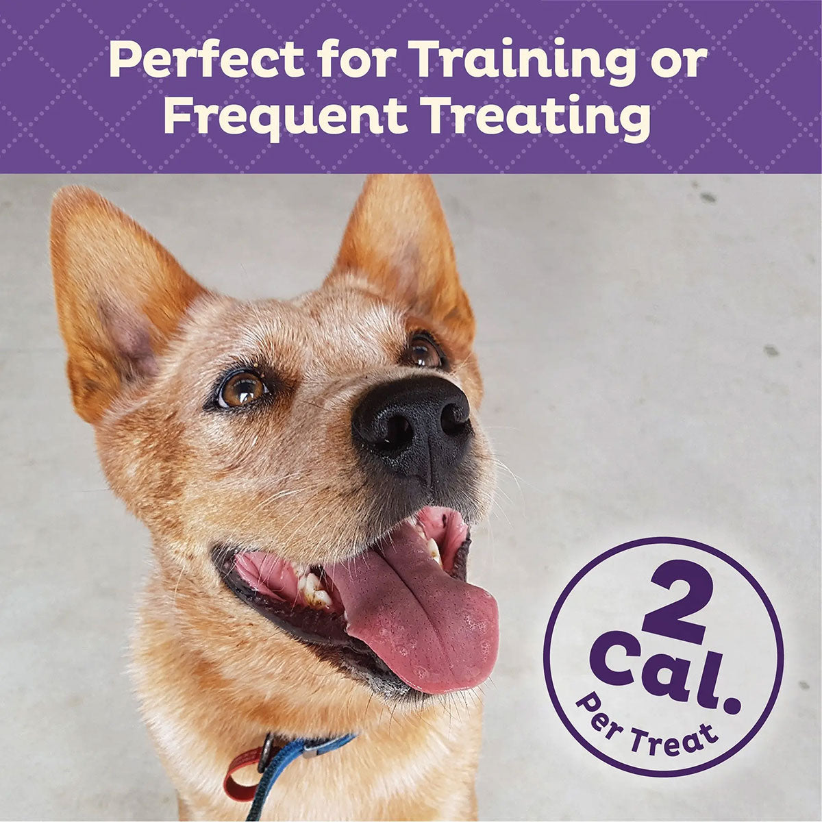 Old Mother Hubbard Bitz Assorted Dog Treats