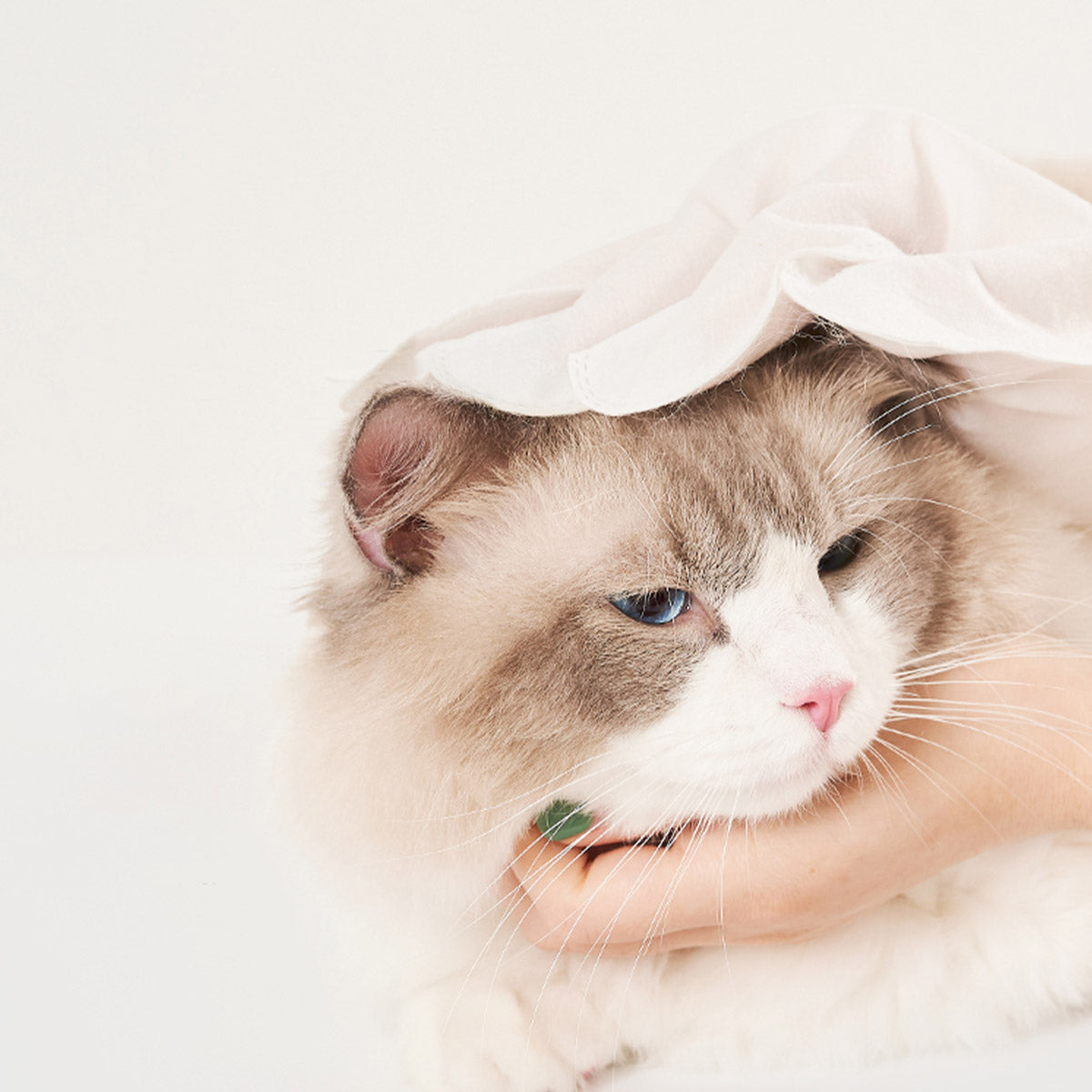PETSHY Pet Grooming Glove Wipes
