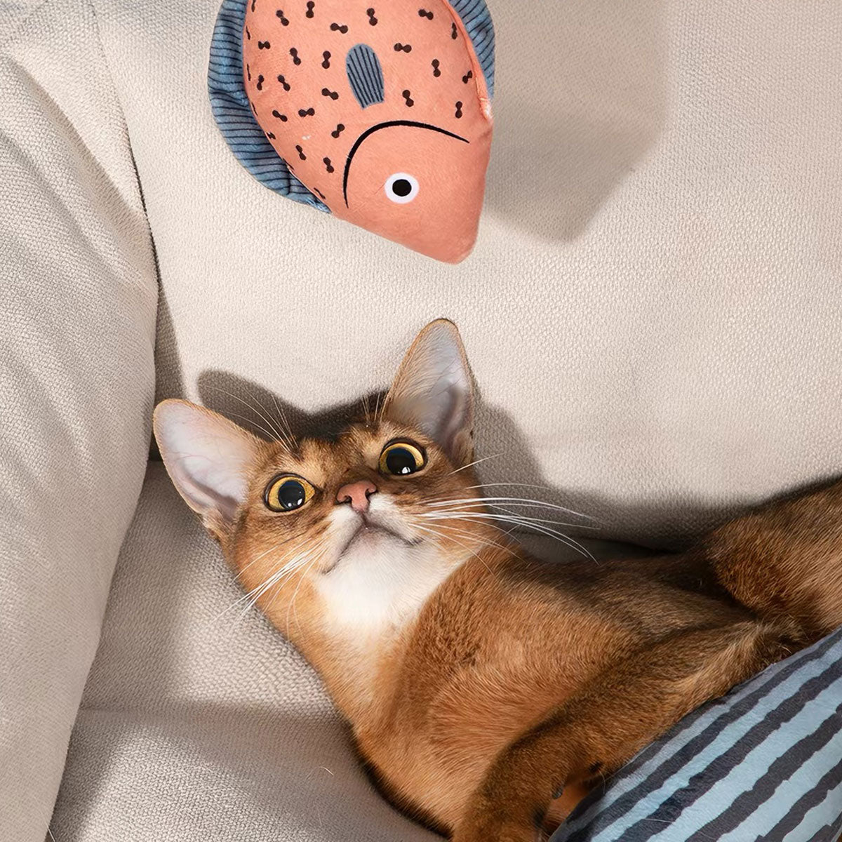Orange Striped Fish Catnip Cat Toy