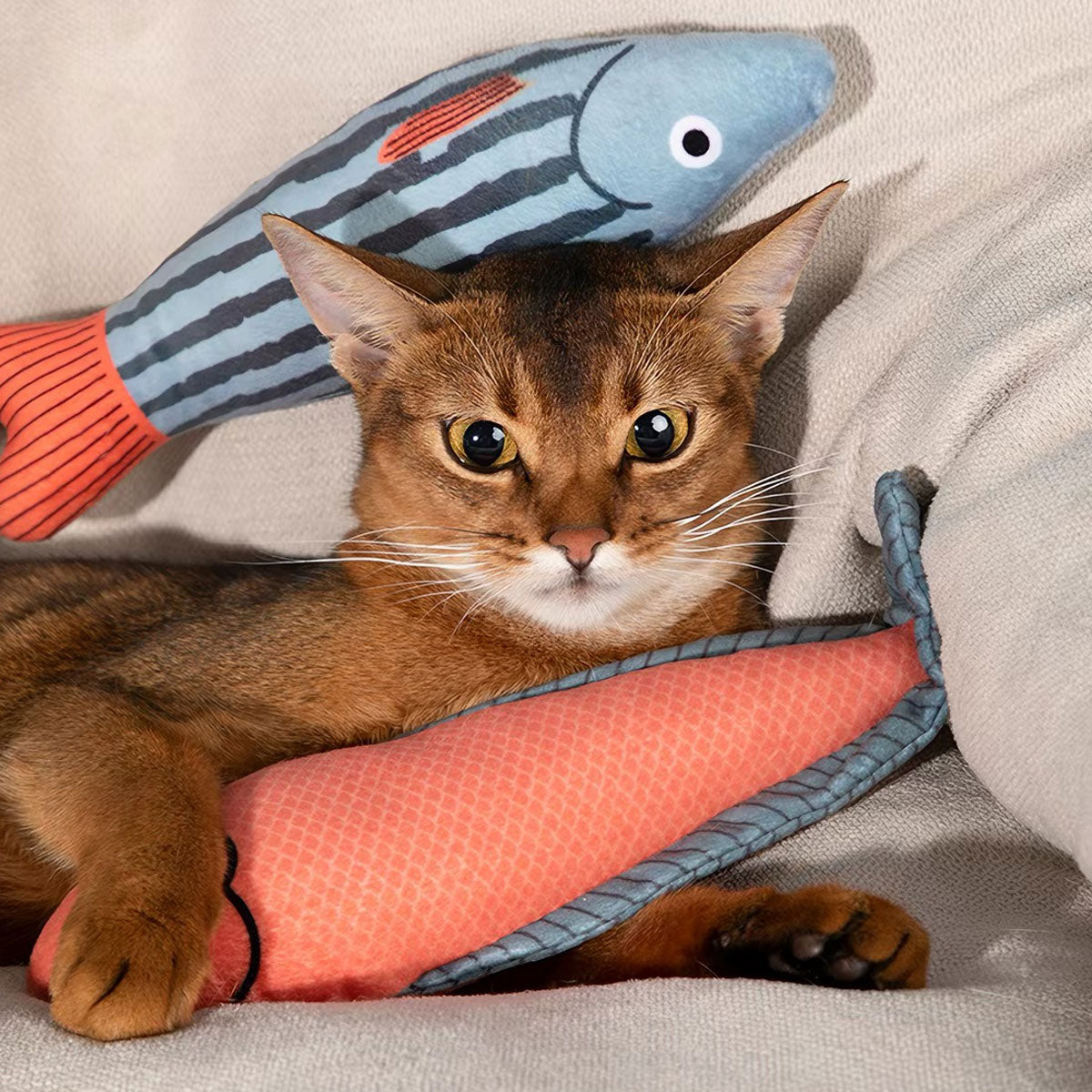 Orange Striped Fish Catnip Cat Toy