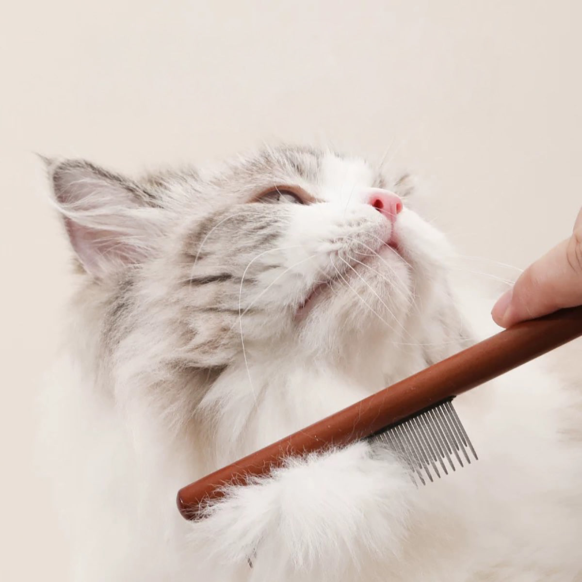 Fukumaru Pet Comb