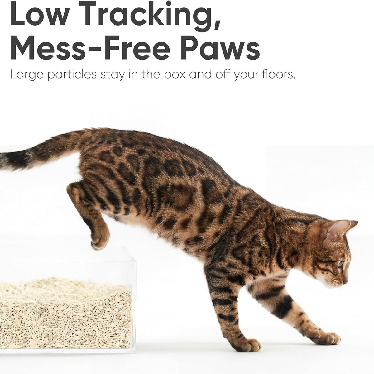 Fukumaru Tofu Cat Litter Corn