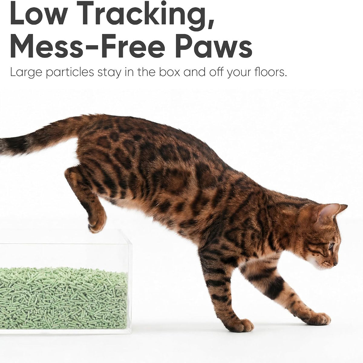 Fukumaru Tofu Cat Litter Green Tea
