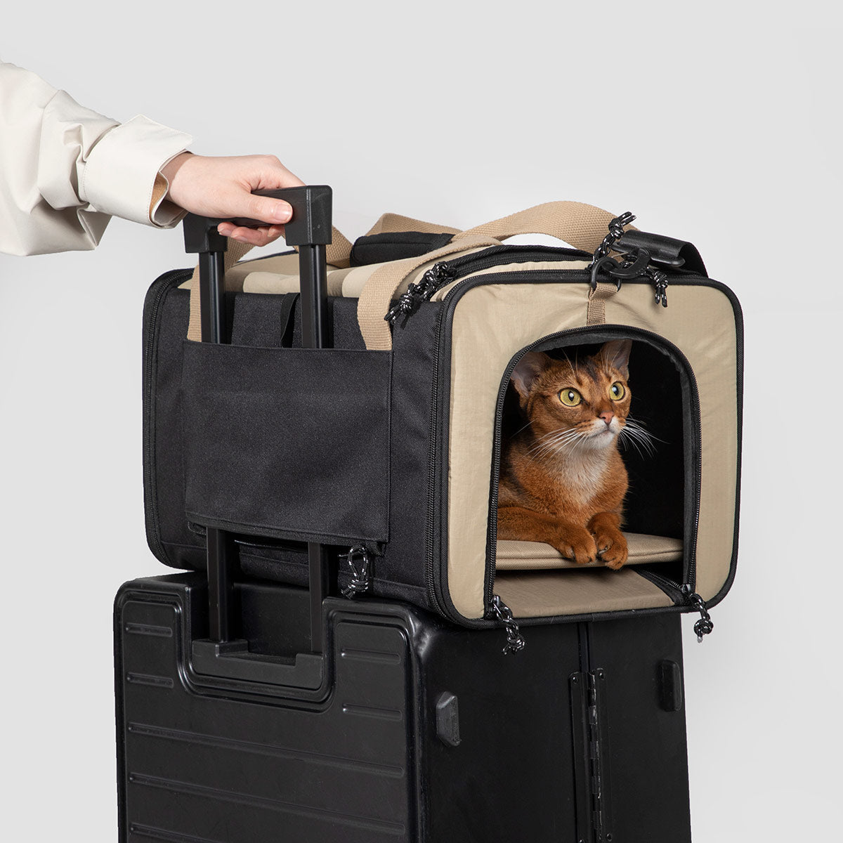 HiDream Foldable Cat Carrier - Large Travel Bag