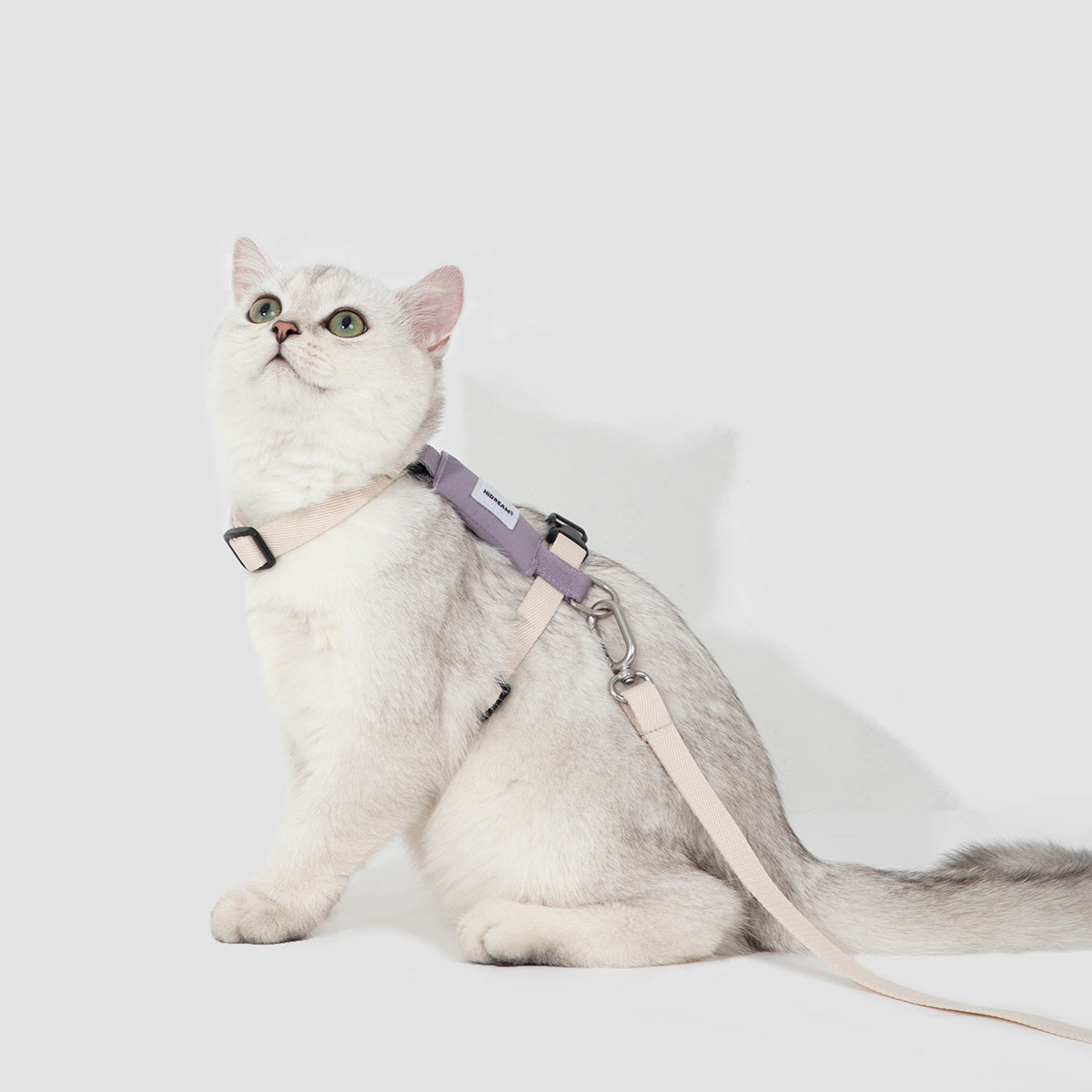 HiDream H-Style Cat Harness and Leash Set
