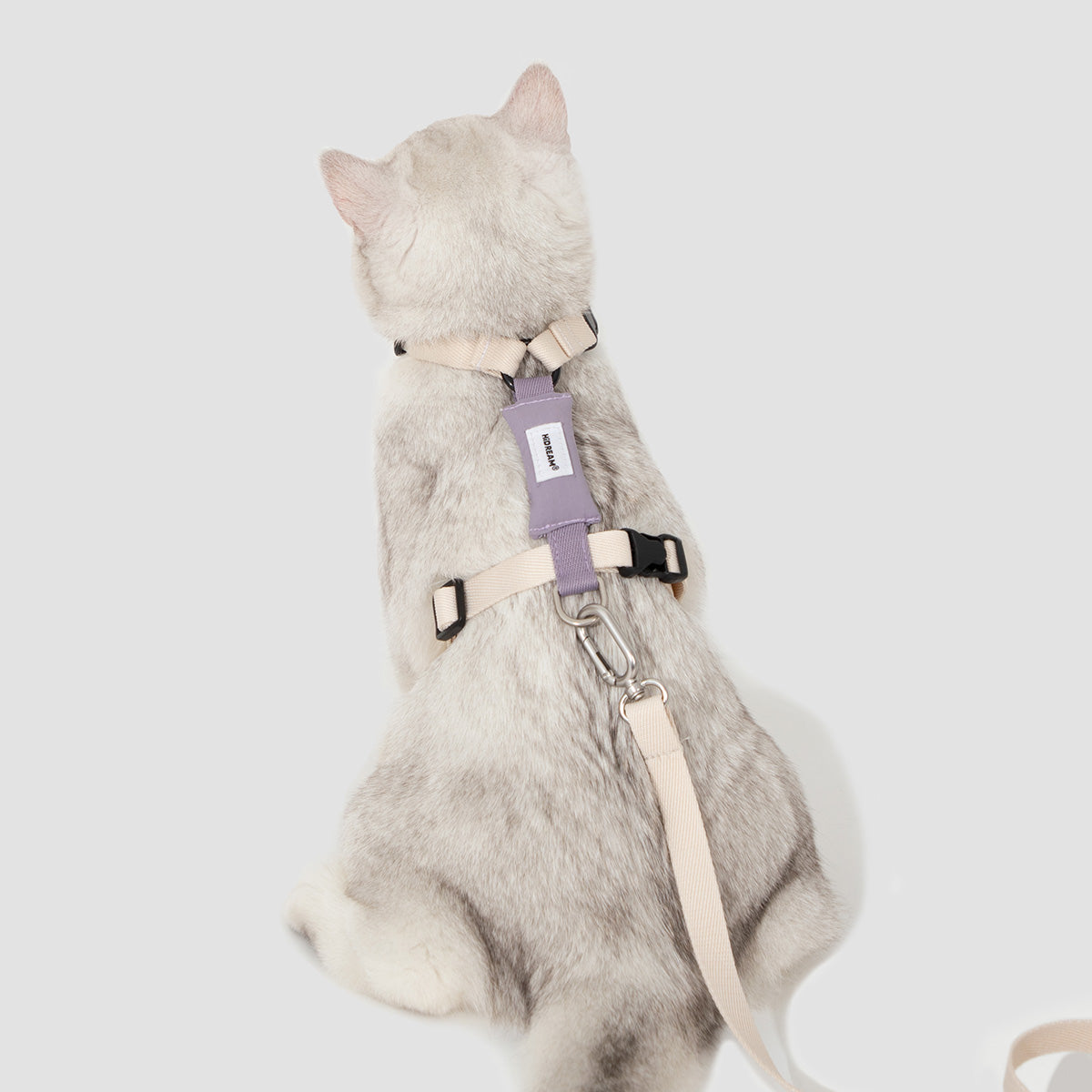 HiDream H-Style Cat Harness and Leash Set