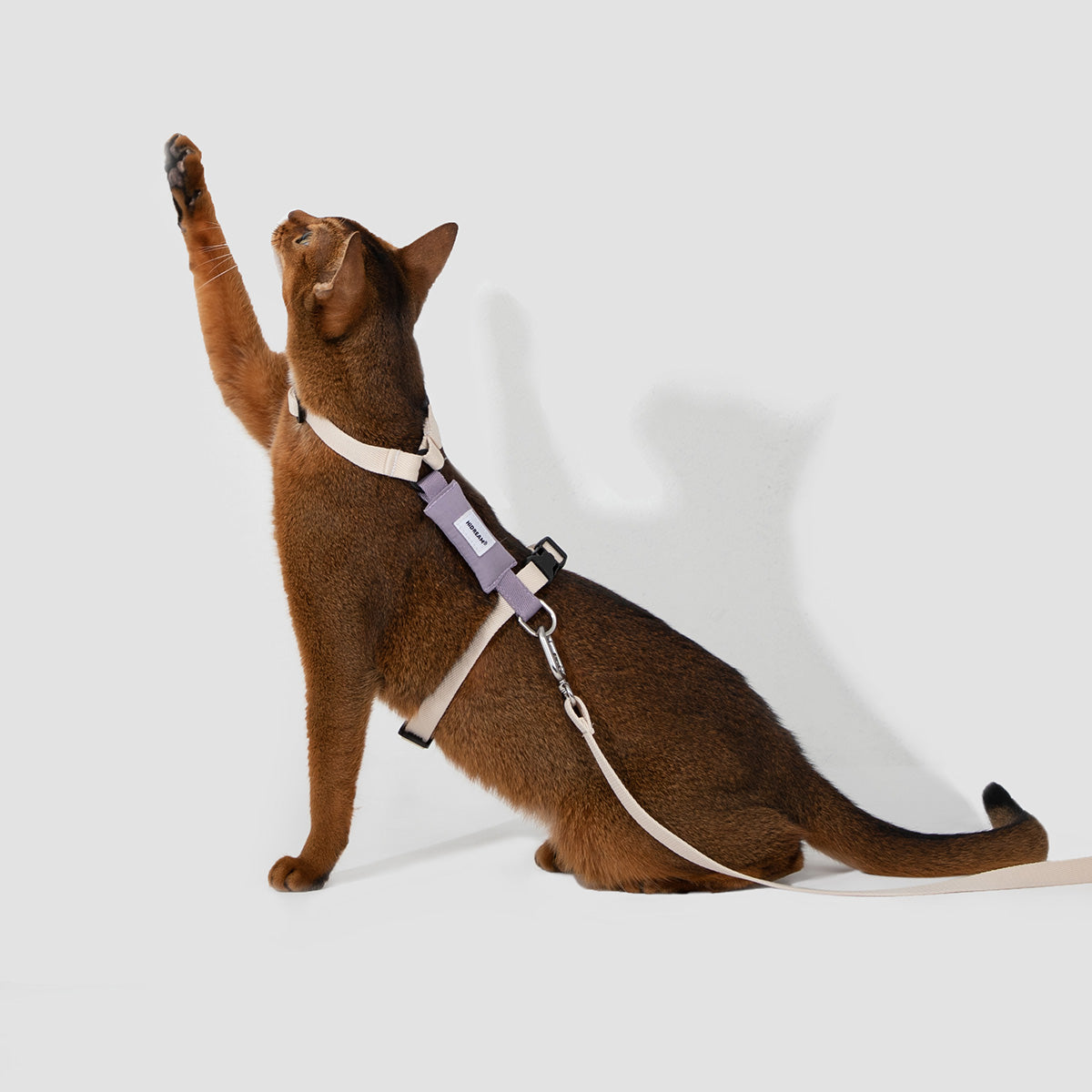 HiDream H-Style Cat Harness and Leash Set