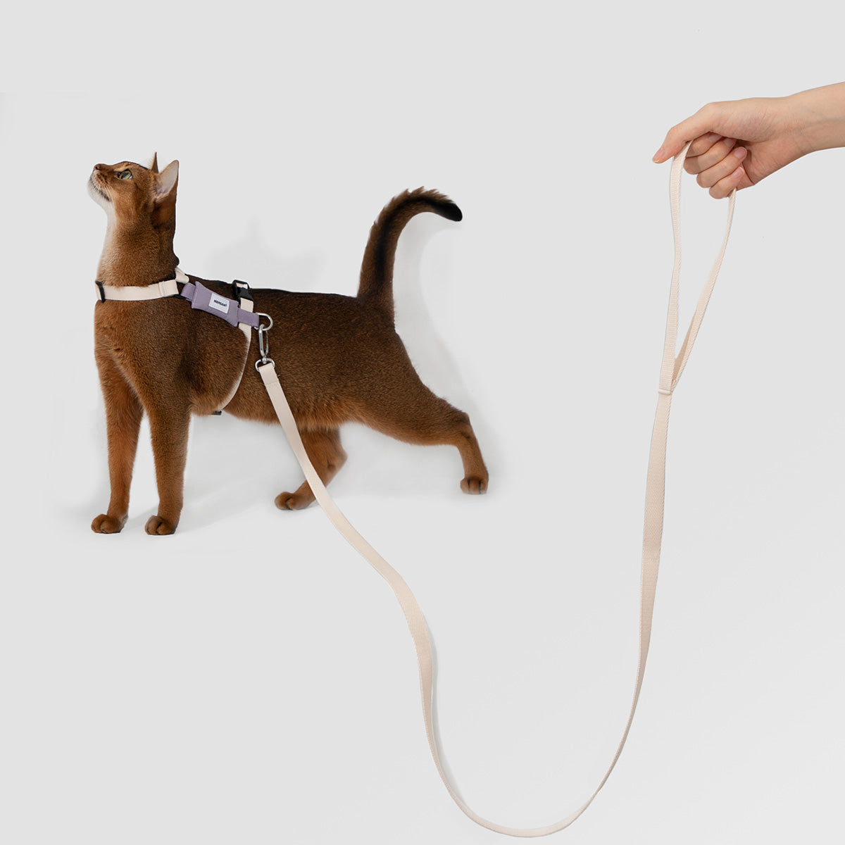 HiDream H-Style Cat Harness and Leash Set