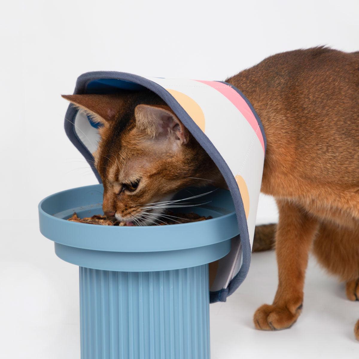 HiDream Pet Soft Adjustable Recovery Cone