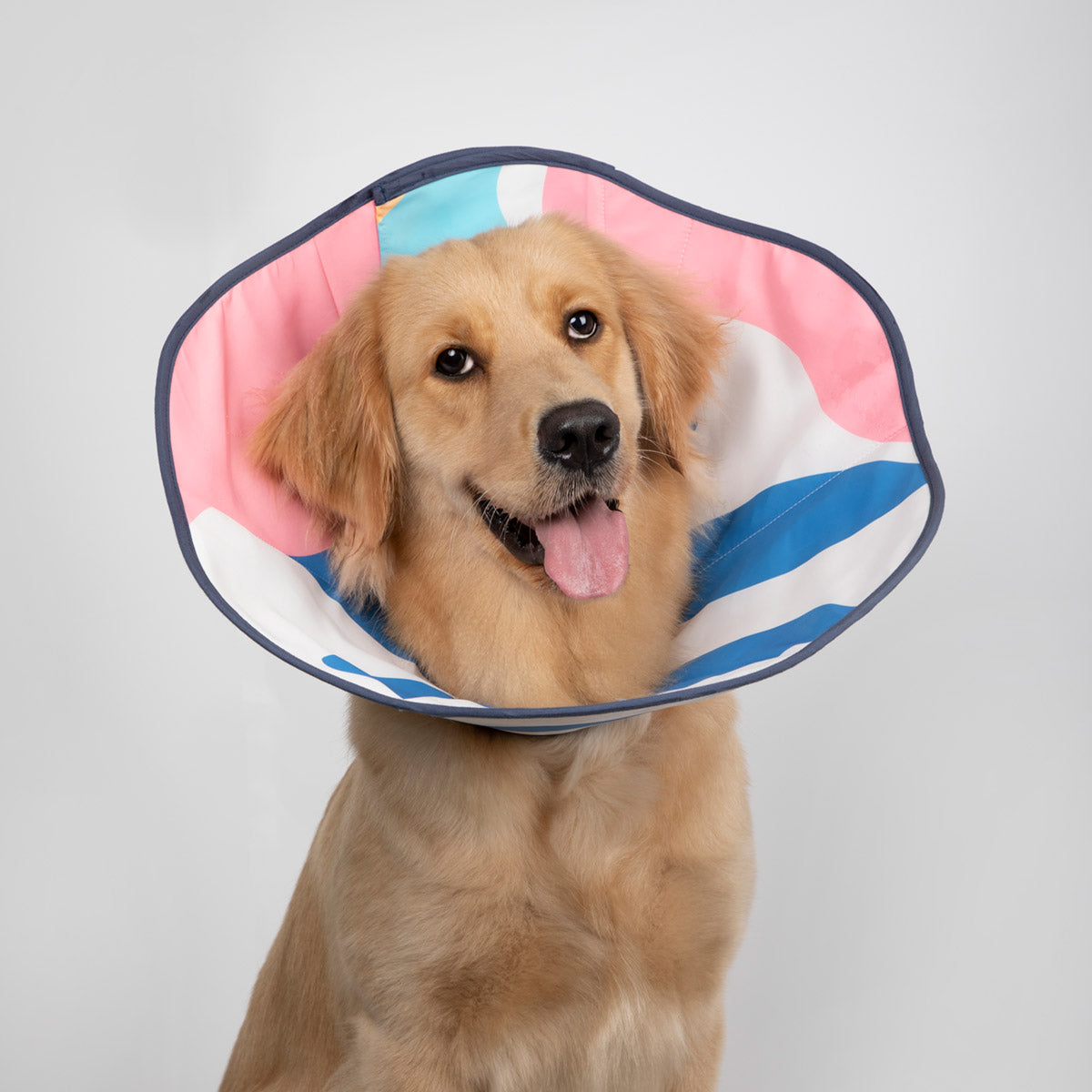 HiDream Pet Soft Adjustable Recovery Cone
