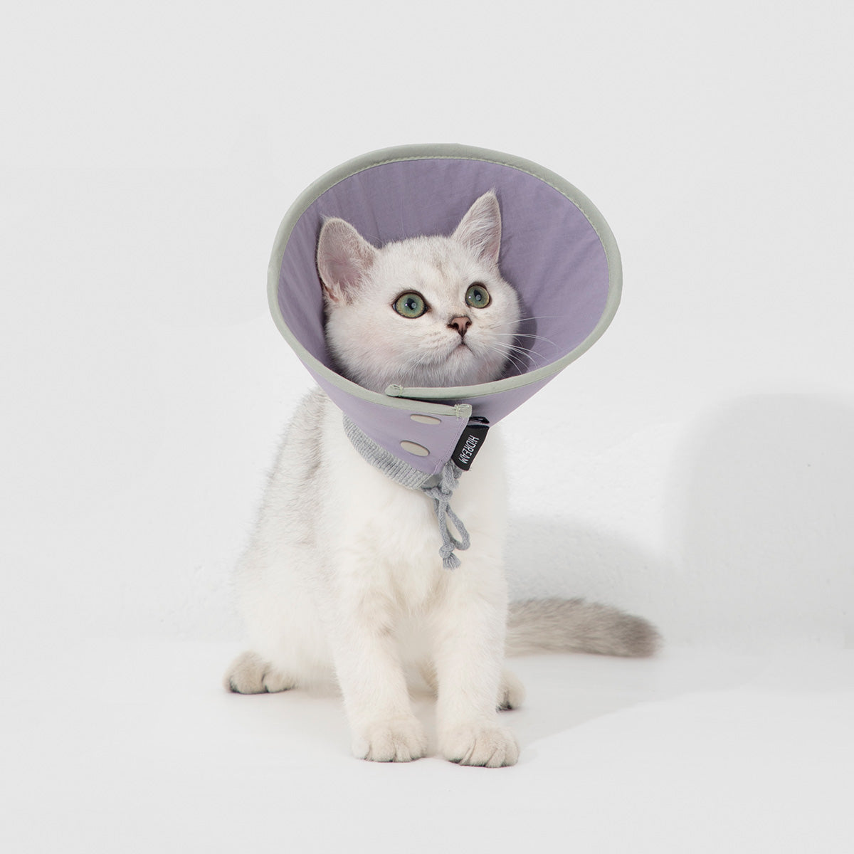 HiDream Pet Snap-On Recovery Cone