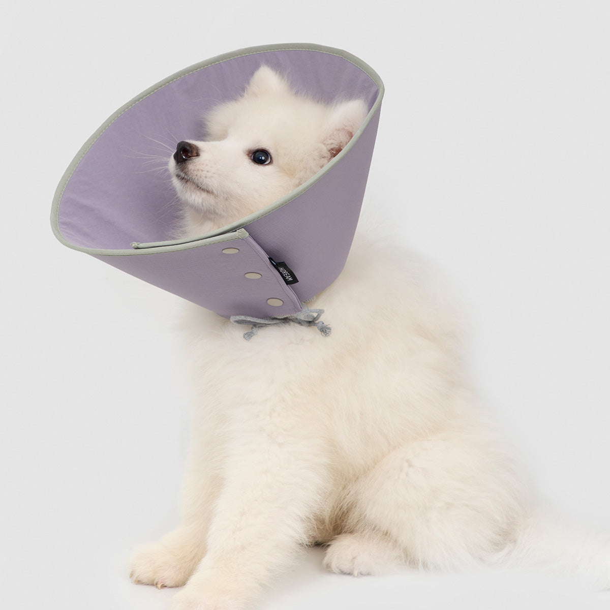 HiDream Pet Snap-On Recovery Cone
