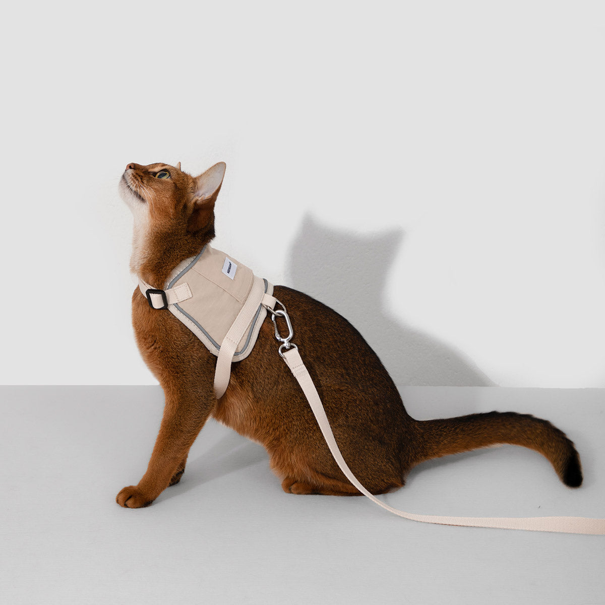 Beautiful view of Furry Kitty Leash Harness