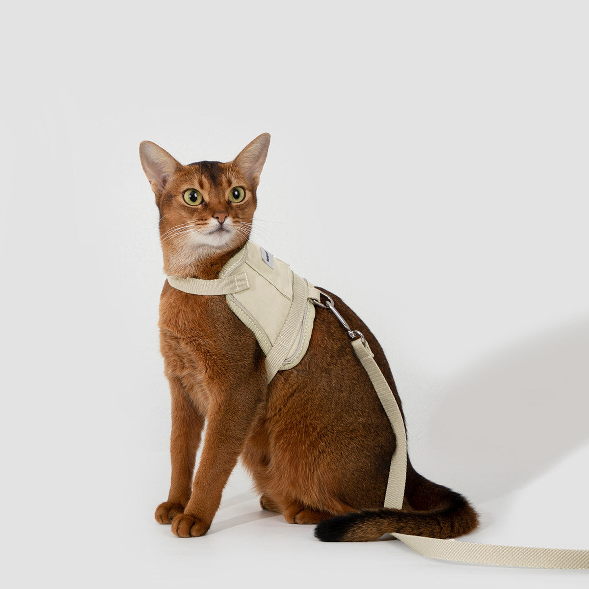 HiDream Vest-Style Cat Harness and Leash Set